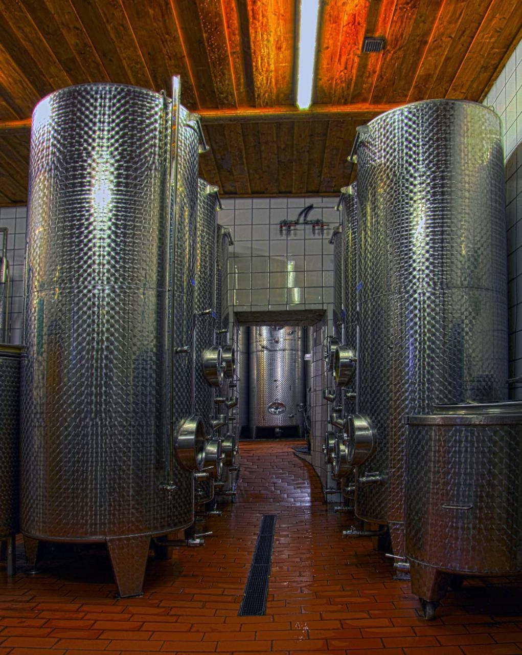 Ferienwohnung Am Weingut Eisenbock Штрасс Экстерьер фото